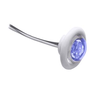 Innovative lighting led bulkhead/livewell light "the shortie" blue led w/ whit