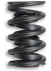 Lunati 74600-16 dual valve springs