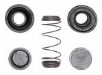 Raybestos wk106 front wheel cylinder kit