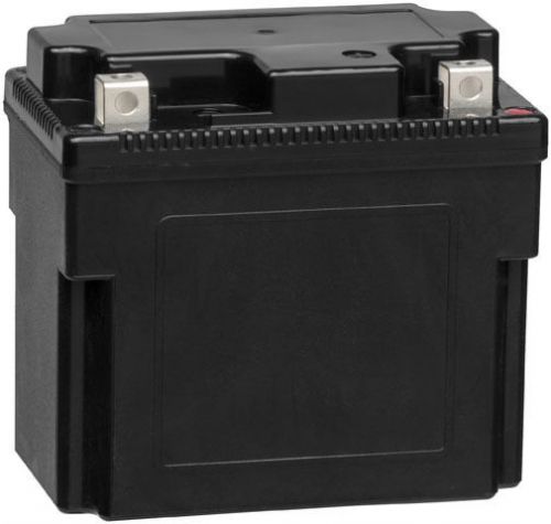 Bikemaster dlfp-5l-bs lithium ion batteries dlfp-5l-bs