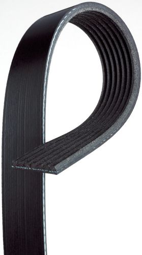 Serpentine belt acdelco gm original equipment 12634319