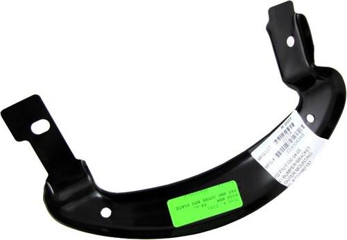 Bumper moulding outer plate ford f150 04 05 passenger