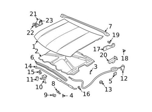 Genuine hinge bolt 15597207