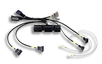 Aem infinity plug and play harness ford coyote 5.0l v8