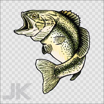 Decals stickers fish fresh water bass fish l 0500 xf9xa