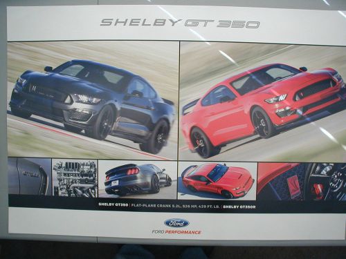 Ford shelby gt 350 poster