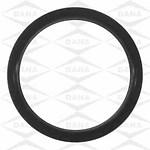 Victor jv1605 rear main bearing seal set