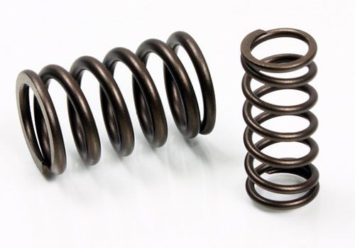 Psychic intake valve spring