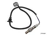 Wd express 800 01033 101 oxygen sensor