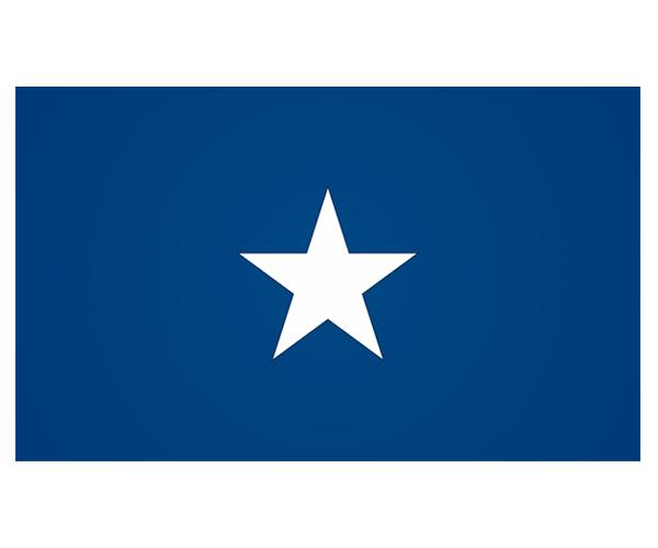 Bonnie blue flag decal 5"x3" rebel confederate vinyl car bumper sticker zu1