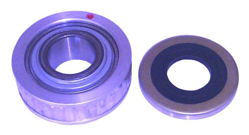 Sierra seal & bearing kit 18-21005k