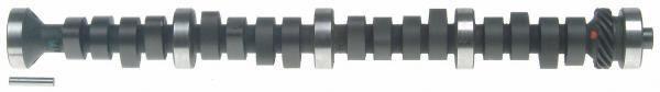 Sealed power performance camshaft cs1025r