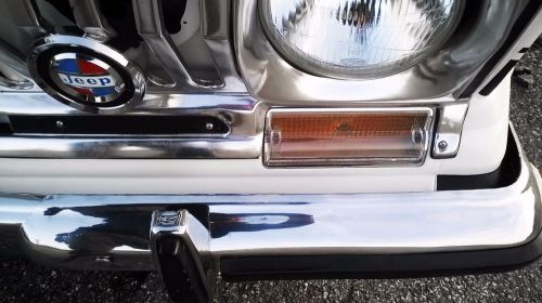 Jeep cherokee - gladiator - parking light - cats-eye - clear lens - low budget