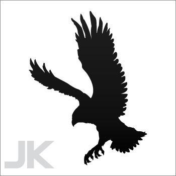 Decals sticker eagle hawk eagles hawks accipitridae apex predator 0502 x7rb9