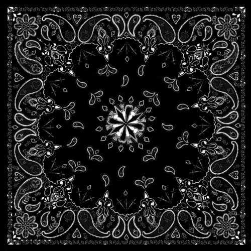 Zan headgear cotton bandana - black paisley