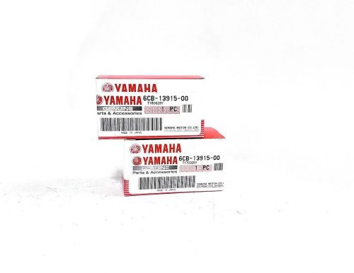 -new- yamaha 6cb-13915-00-00, fuel pump filter, pack of 2, oem