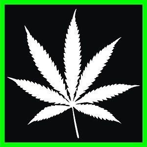 6" pot leaf decal 420 4:20 weed marijuana bud chronic car truck window ps3 xbox