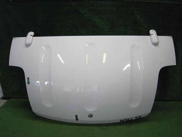 Toyota will vi 2001 trunk panel [3815300]