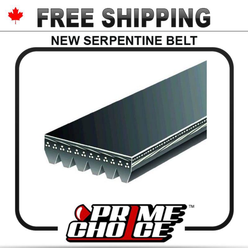 New serpentine drive belt