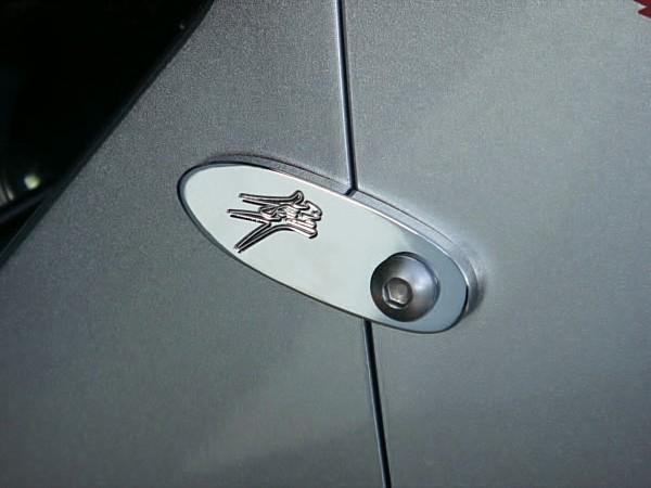 Suzuki hayabusa busa kanji chrome fairing bolt tags