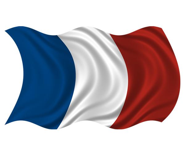 France waving flag decal 5"x3" french vinyl car window bumper sticker zu1