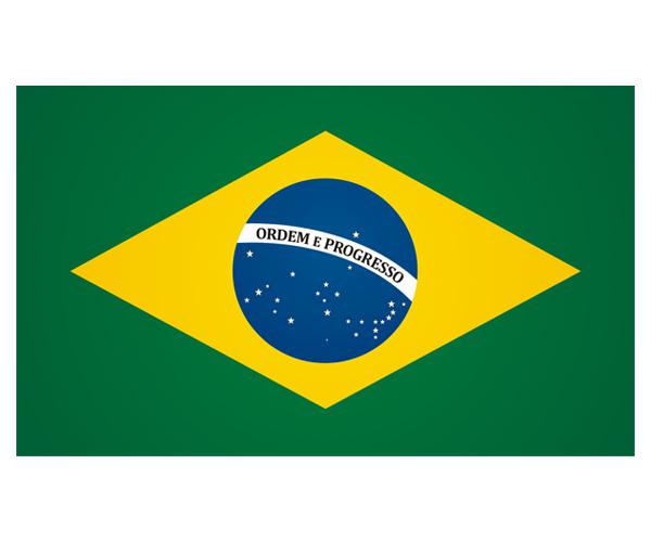 Brazil flag decal 5"x3" brazilian vinyl car window bumper sticker zu1