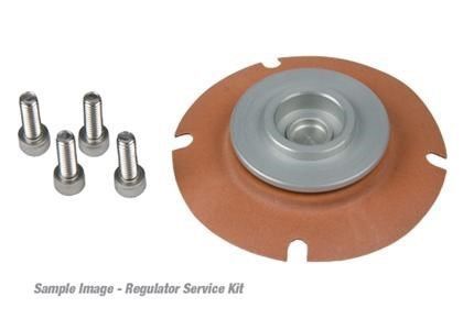 Aeromotive efi regulator repair kit (for 13101/13109/13151/13159/13114)