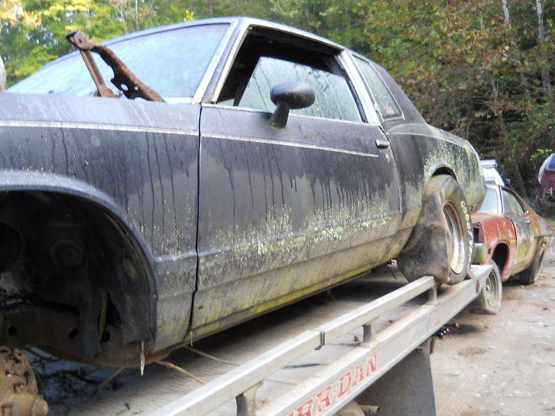 Complete 1981 monte carlo body parts