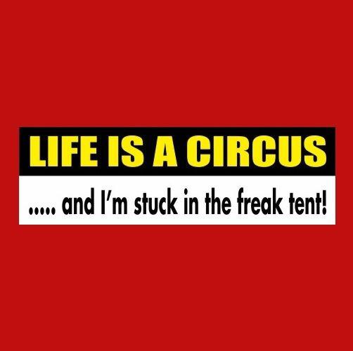 Funny "life is a circus and i'm stuck in the freak tent!" bumper sticker, decal