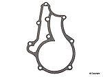 Wd express 221 51002 368 water pump mounting gasket