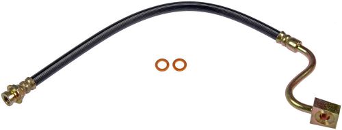 Brake hydraulic hose front right dorman h36813 fits 76-77 ford e-350 econoline