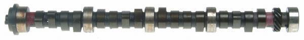 Sealed power performance camshaft cs1024r