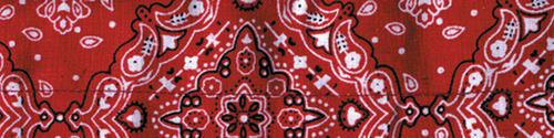 Zan headgear cooldanna bandana red paisley