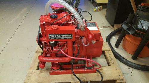 Westerbeke 4.0 bcg gas generator