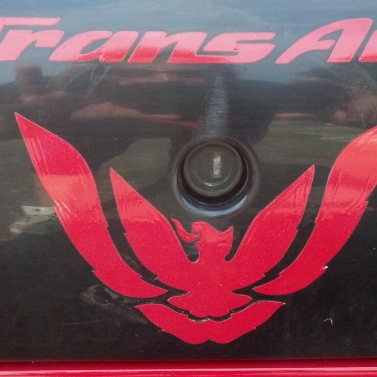 Pontiac trans am,firebird,formula decal graphics tail light bumper emblem logo 