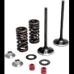 6512122 kpmi 30-31240 ss intake valve/spring kit crf 450r '09-11