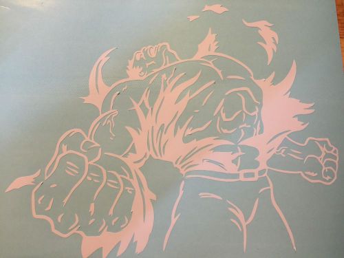 Custom vinyl hulk graphic / decal, gloss white is standard