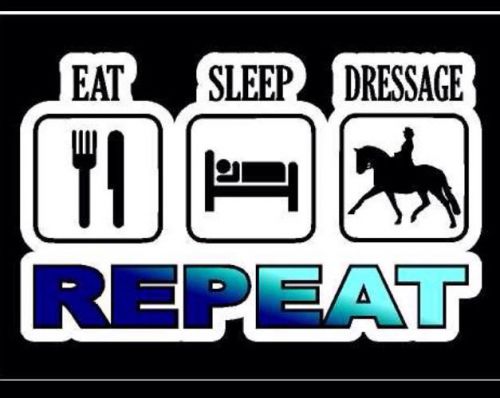 Dressage eat. sleep. dressage. repeat. horse printed 5&#034; decal/sticker
