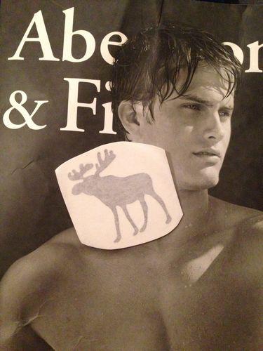 Abercrombie decal