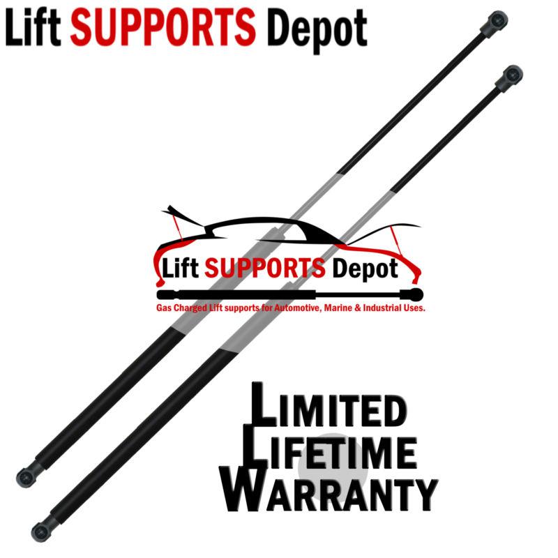 Qty (2) 10mm nylon (short) end lift supports 17" extended x 60lbs