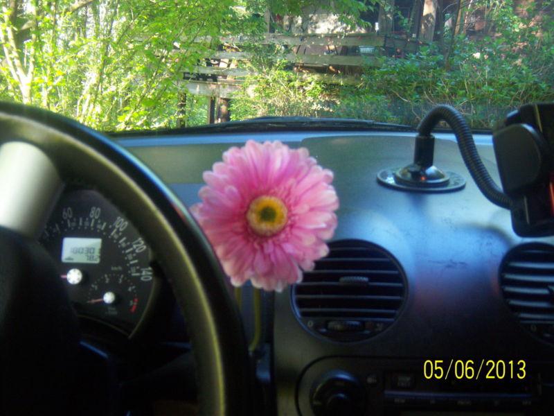  vw new beetle real looking pink silk daisy flower ( vase not included )