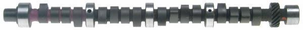 Sealed power performance camshaft cs1019r