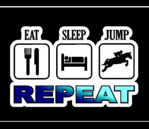 Horse jumper eat. sleep. jump. repeat. horse printed 5&#034; decal/sticker