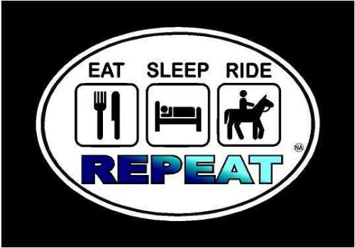 Eat. sleep. ride. repeat. horse color printed 5&#034; oval decal/sticker