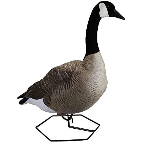 Beavertail boats and decoys dominator series full body decoys active 4 pack