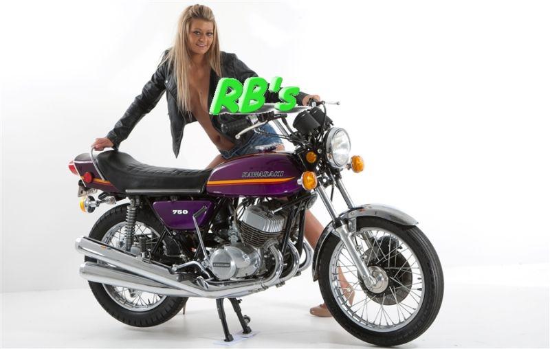 Kawasaki 1973 h2a 750 triple decal set (purple bike)  - the very best 