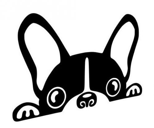 French bulldog face peeking up vinyl decal