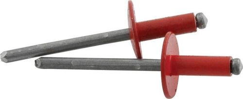 Allstar performance     allstar all18162  large head rivet  aluminum  red  pack