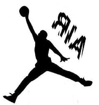 Basketball  sticker***clearance sale+free shipping***