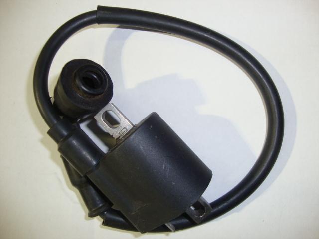 Ignition coil for 150cc 250cc chinese sunl taotao sunl redcat eagle "